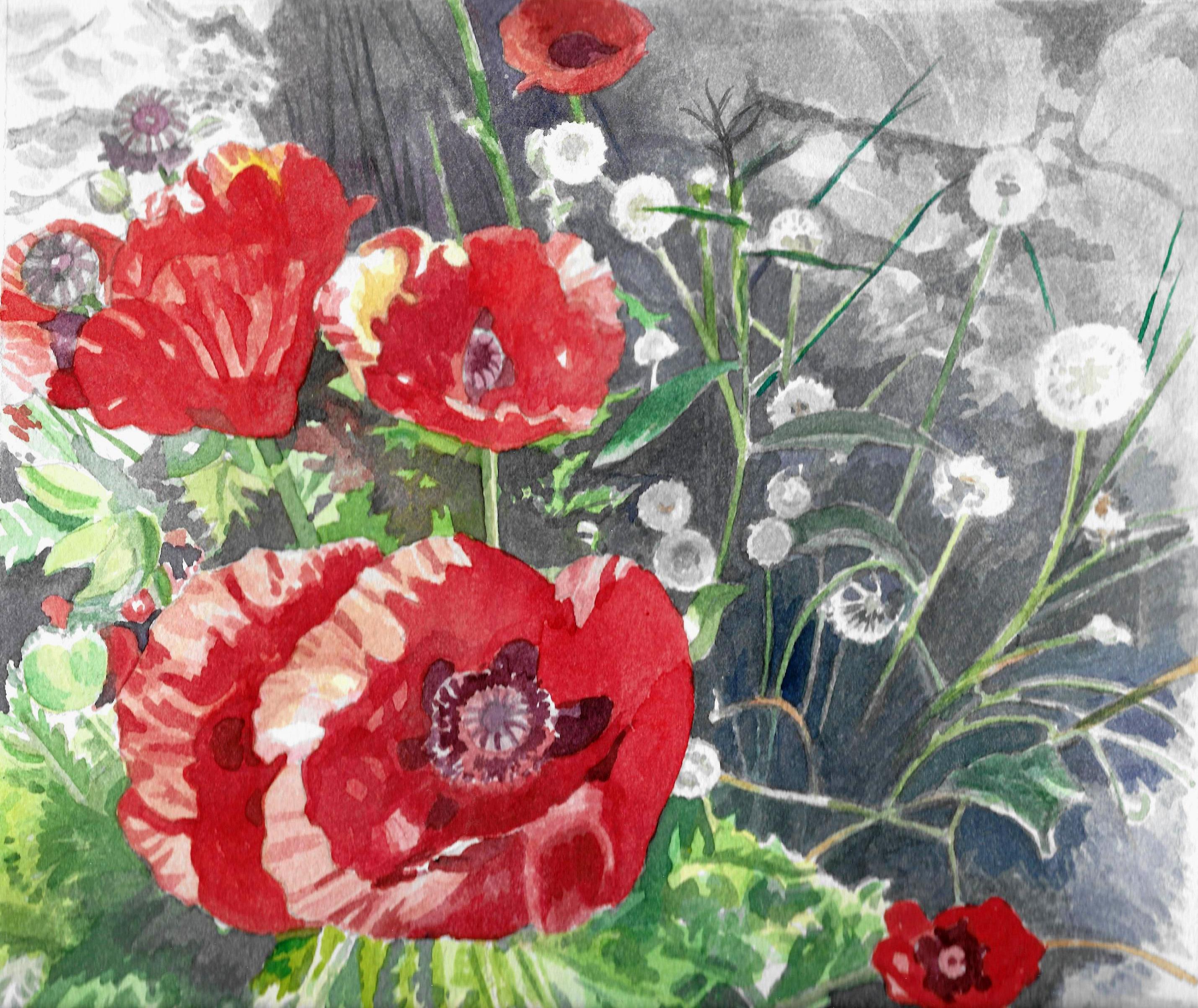 Poppies and Dandelions I